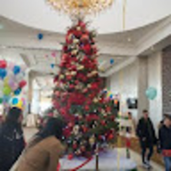 Meet your Posher, Ayodegy - Picture 1 of 1